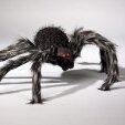 Tarantule